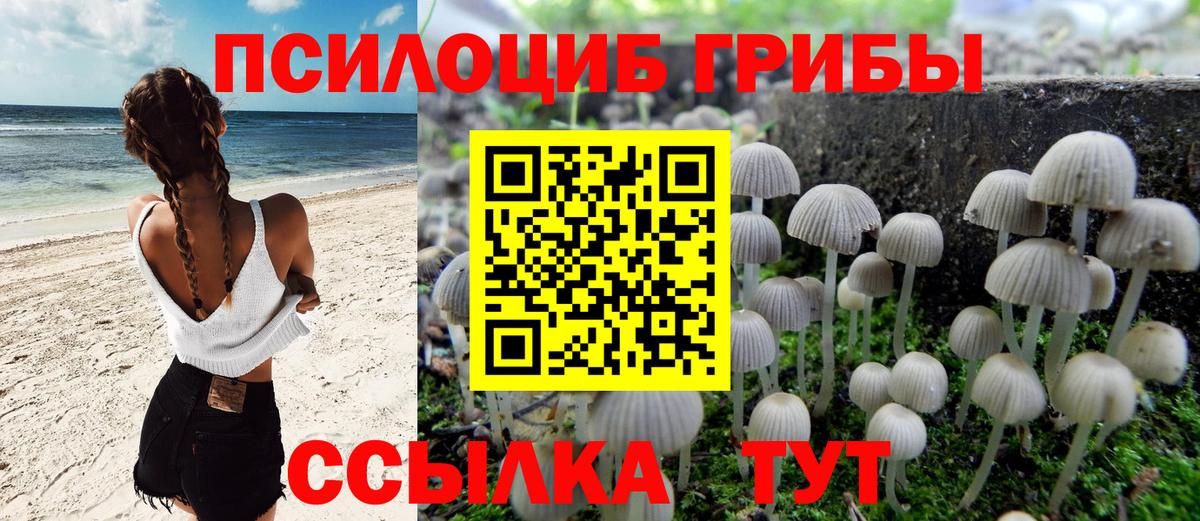 Галлюциногенные грибы Psilocybine cubensis  Вход с VPN  Саянск 