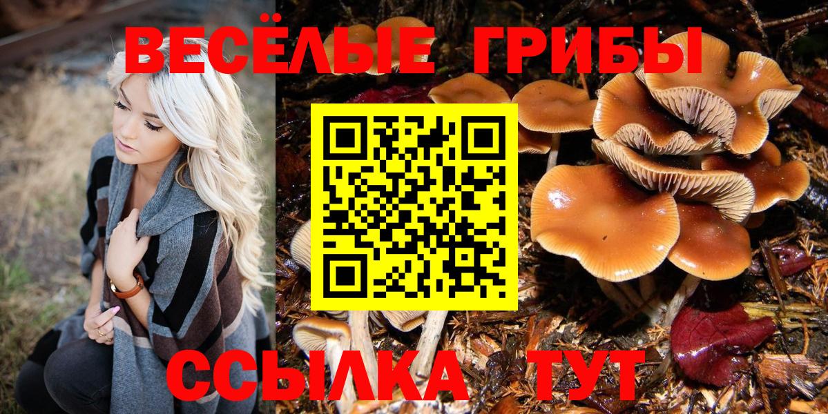 Галлюциногенные грибы прущие грибы Саянск